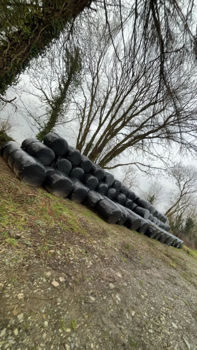 Silage bales