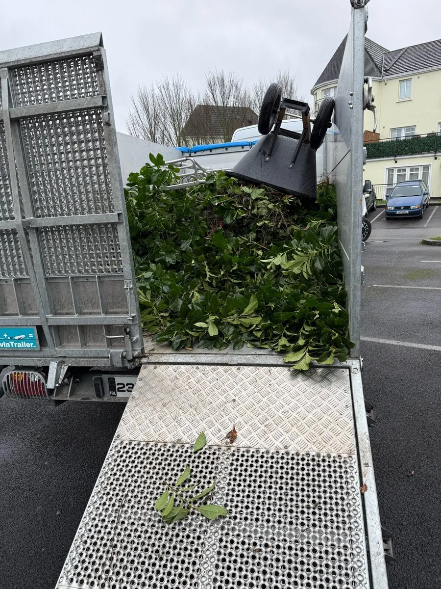Landscaping & Tree surgeon Trailers - Image 1