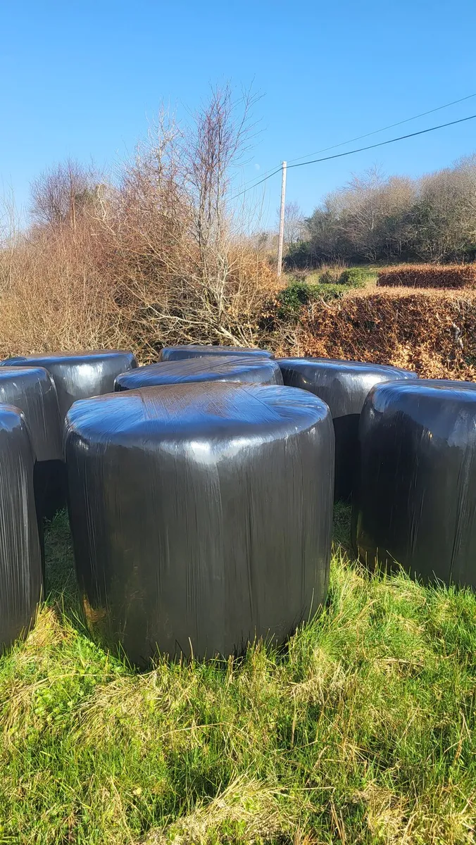 Silage bales for Sale in Donegal - Image 1