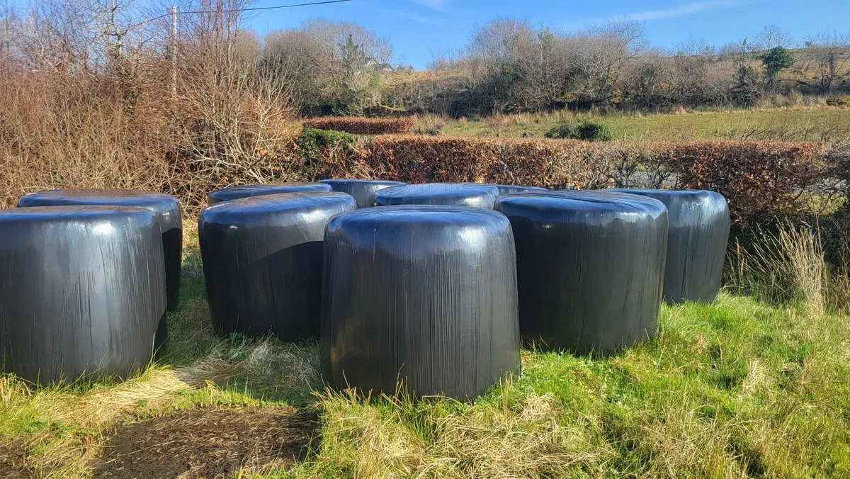 Silage bales for Sale in Donegal - Image 2