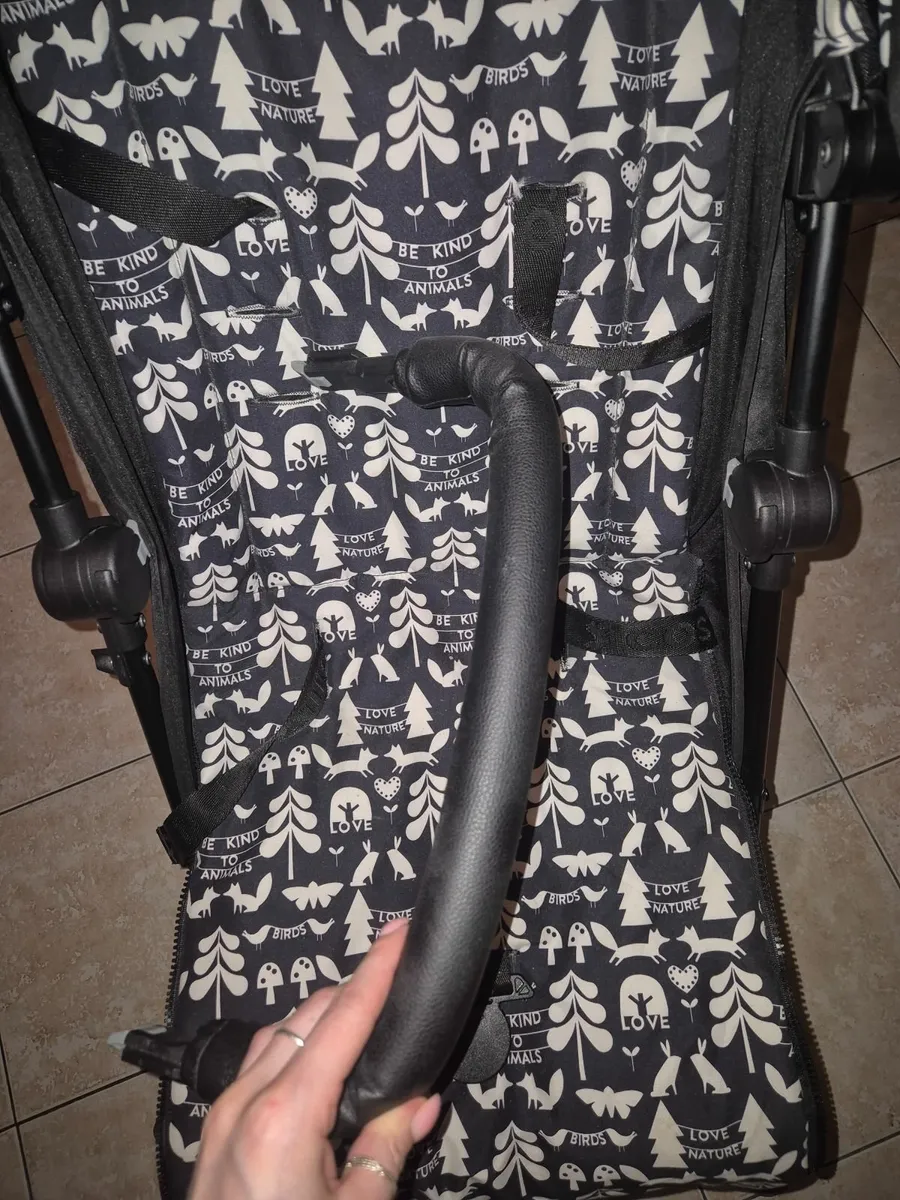 Buggy - Image 4