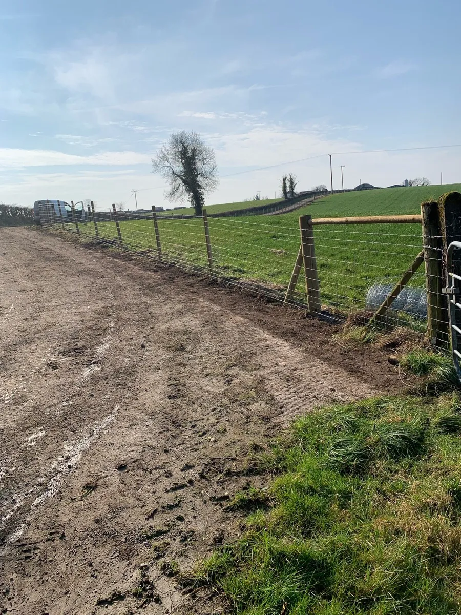 Agricultural / Garden fencing - Image 4