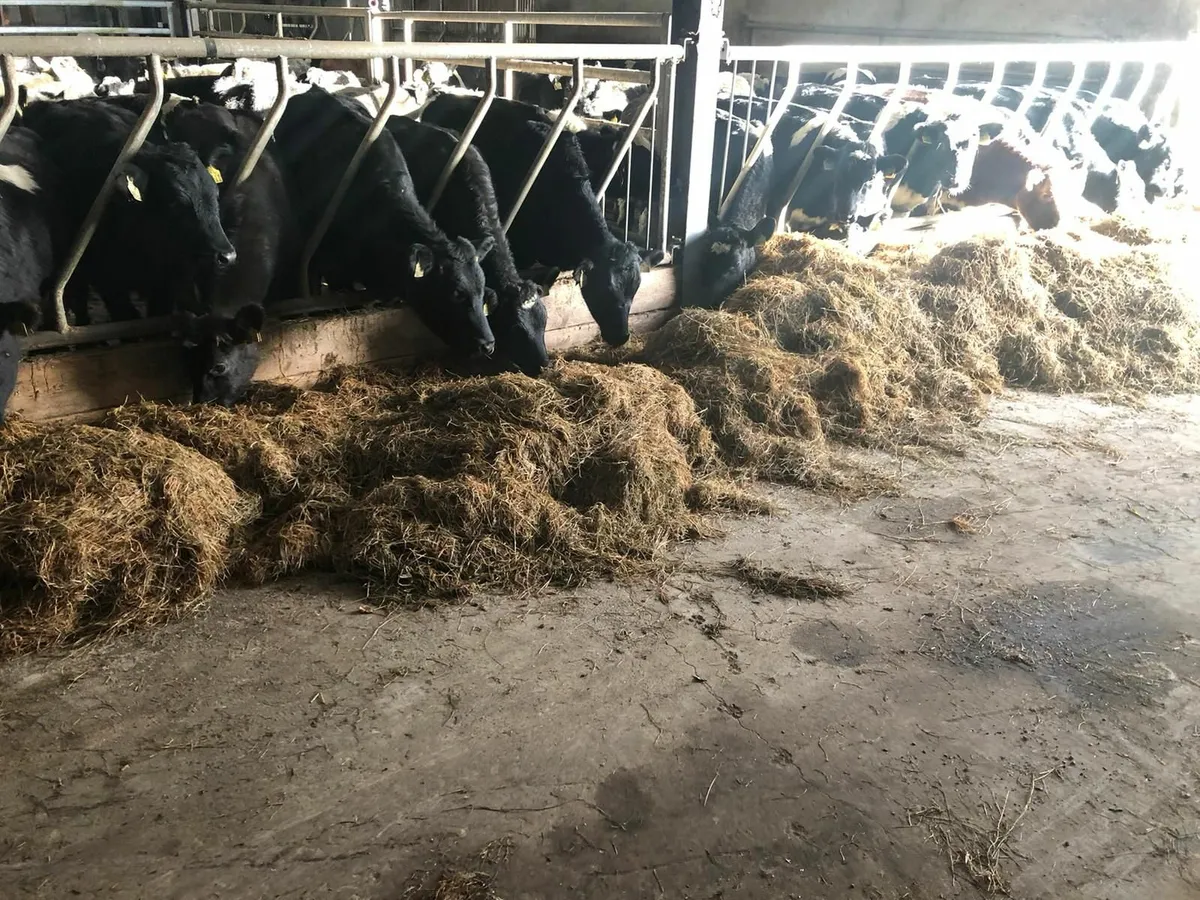 Silage bales dry - Image 1