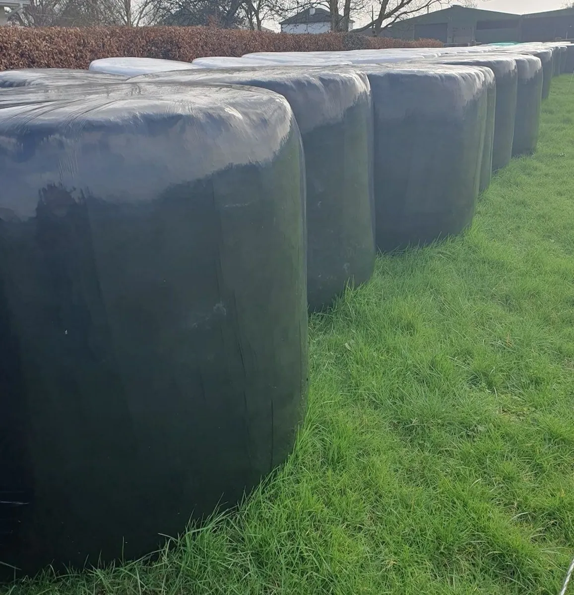 silage