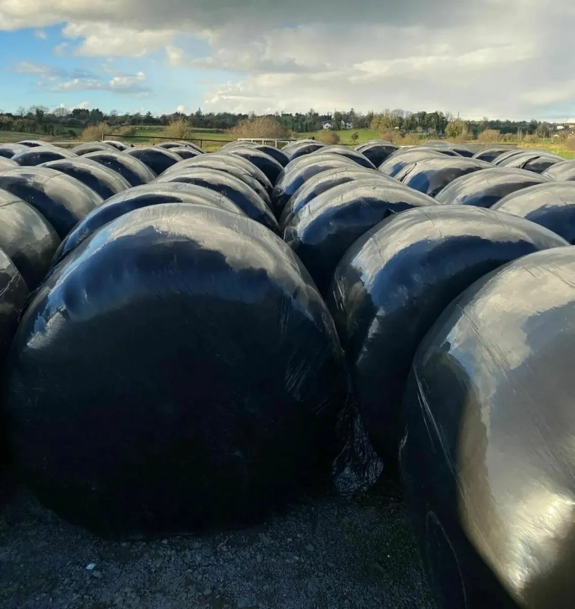Top Quality Silage Bales - Drimoleague Area - Image 2