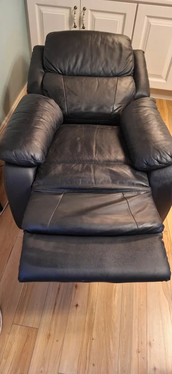 Electric mobility riser chair - Image 1