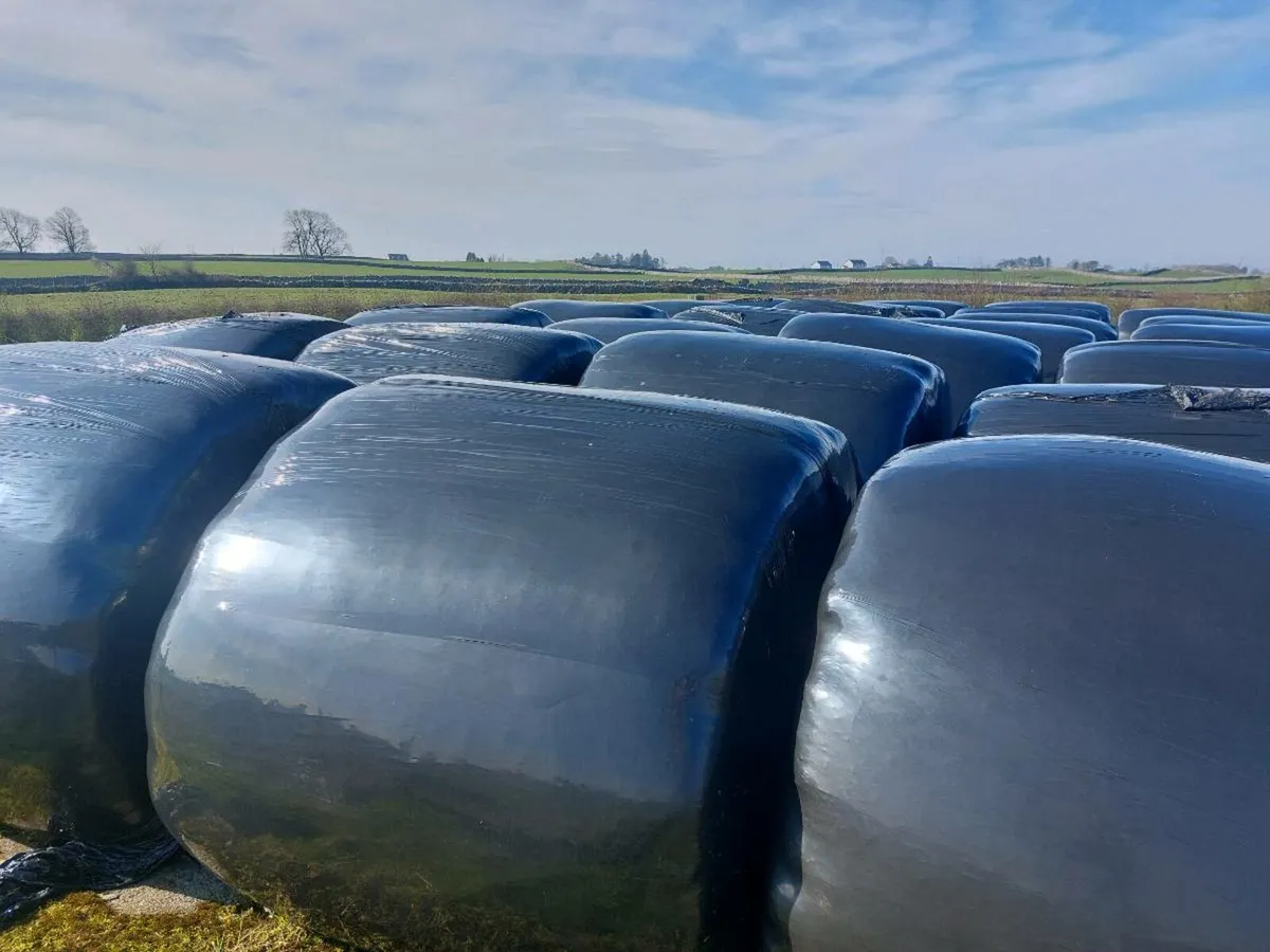 30 bales of first cut silage