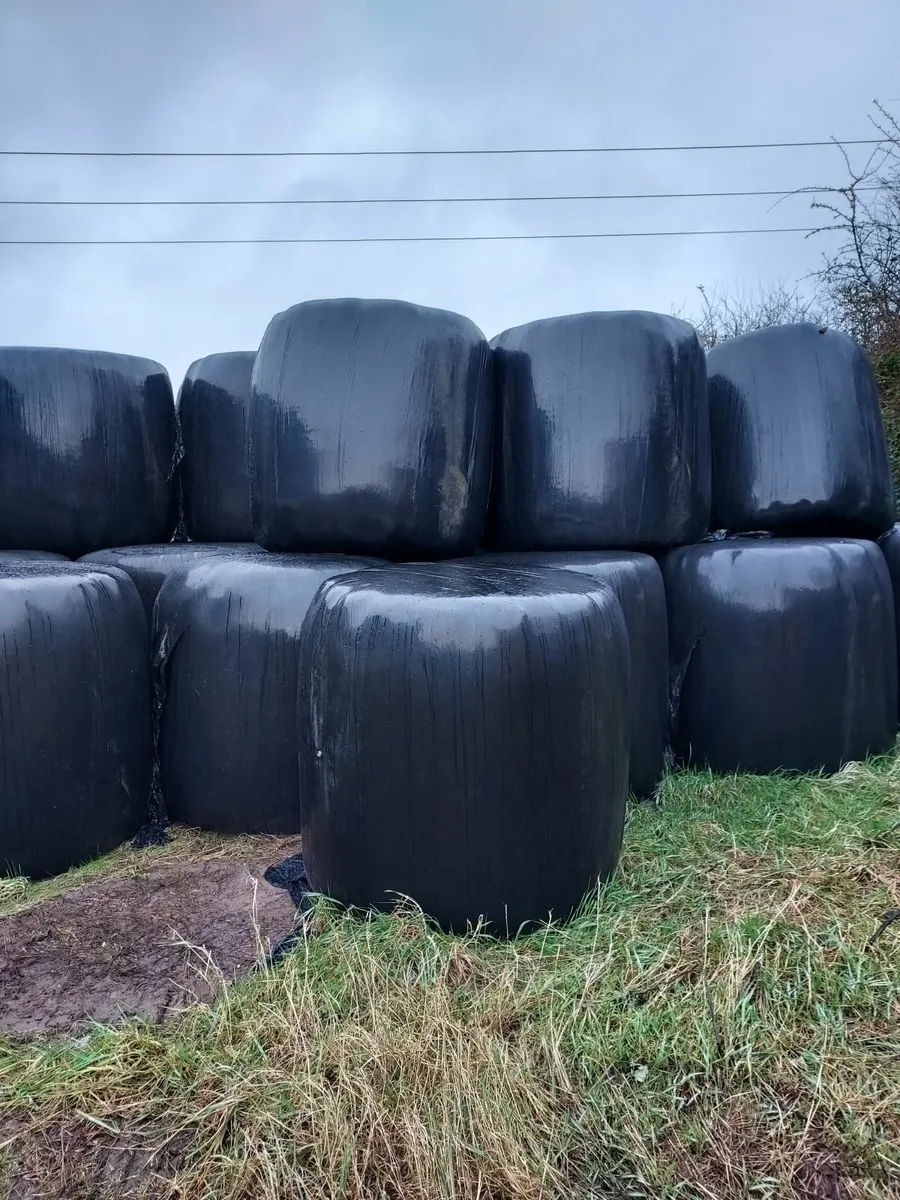 Haylage - Image 1