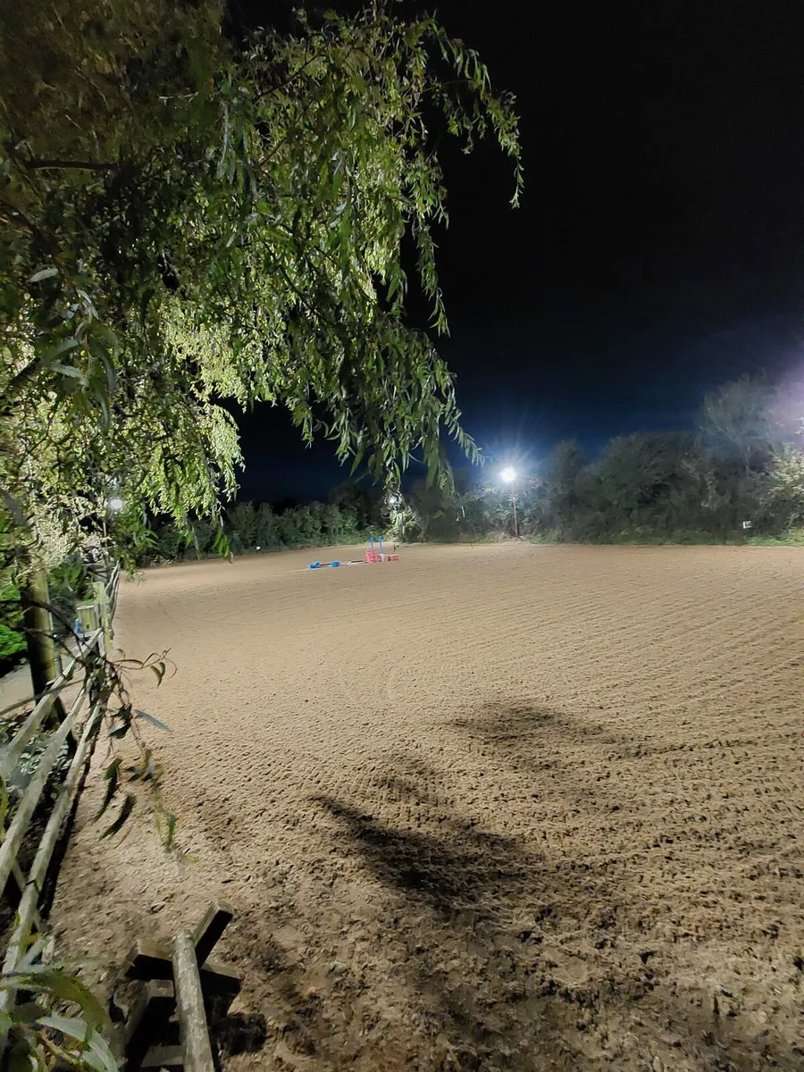 Equestrian sand wexford - Image 1