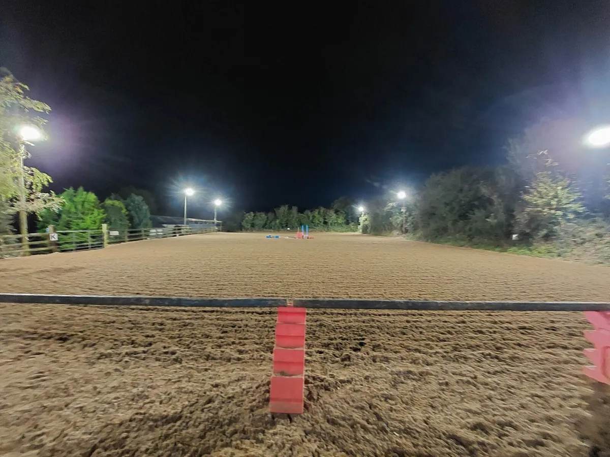 Equestrian sand wexford - Image 2
