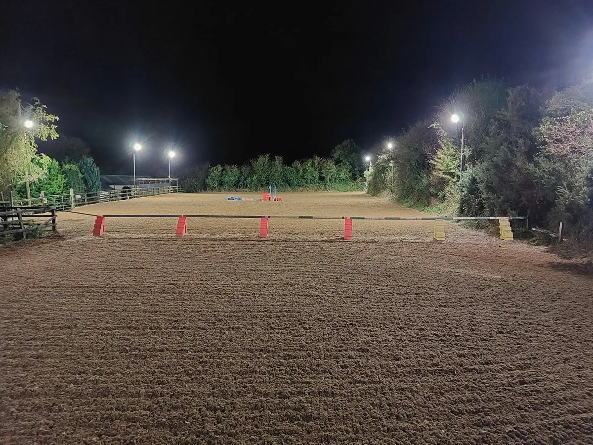Equestrian sand wexford - Image 4