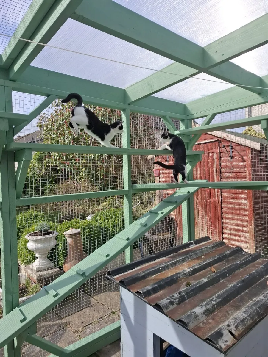 Catio / Cattery - Image 1