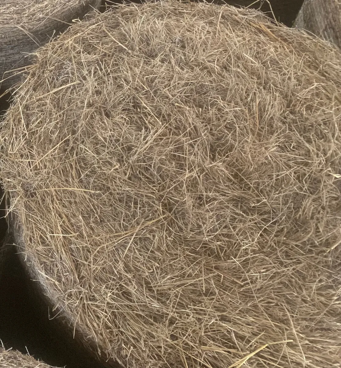 Hay