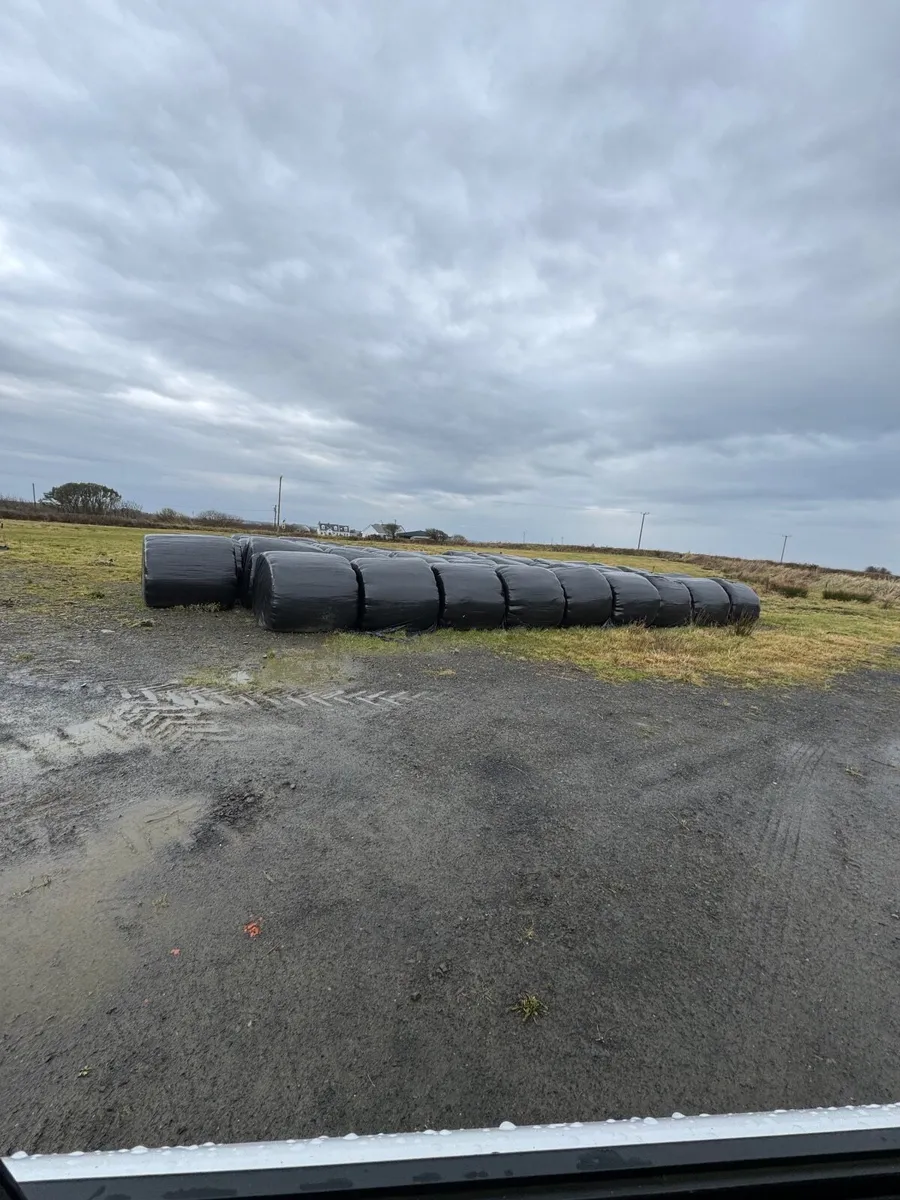 Silage bales for sale - Image 1