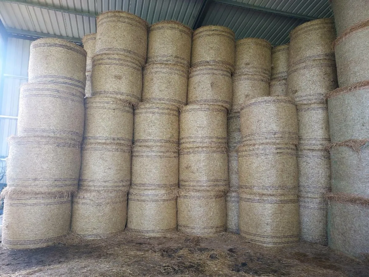 Hay for sale