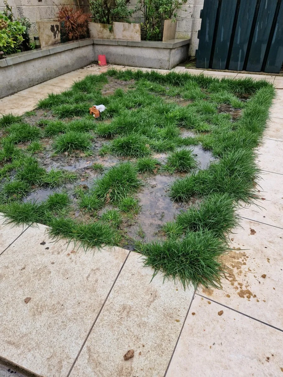 Artificial Grass Lawns in the South East - Image 4