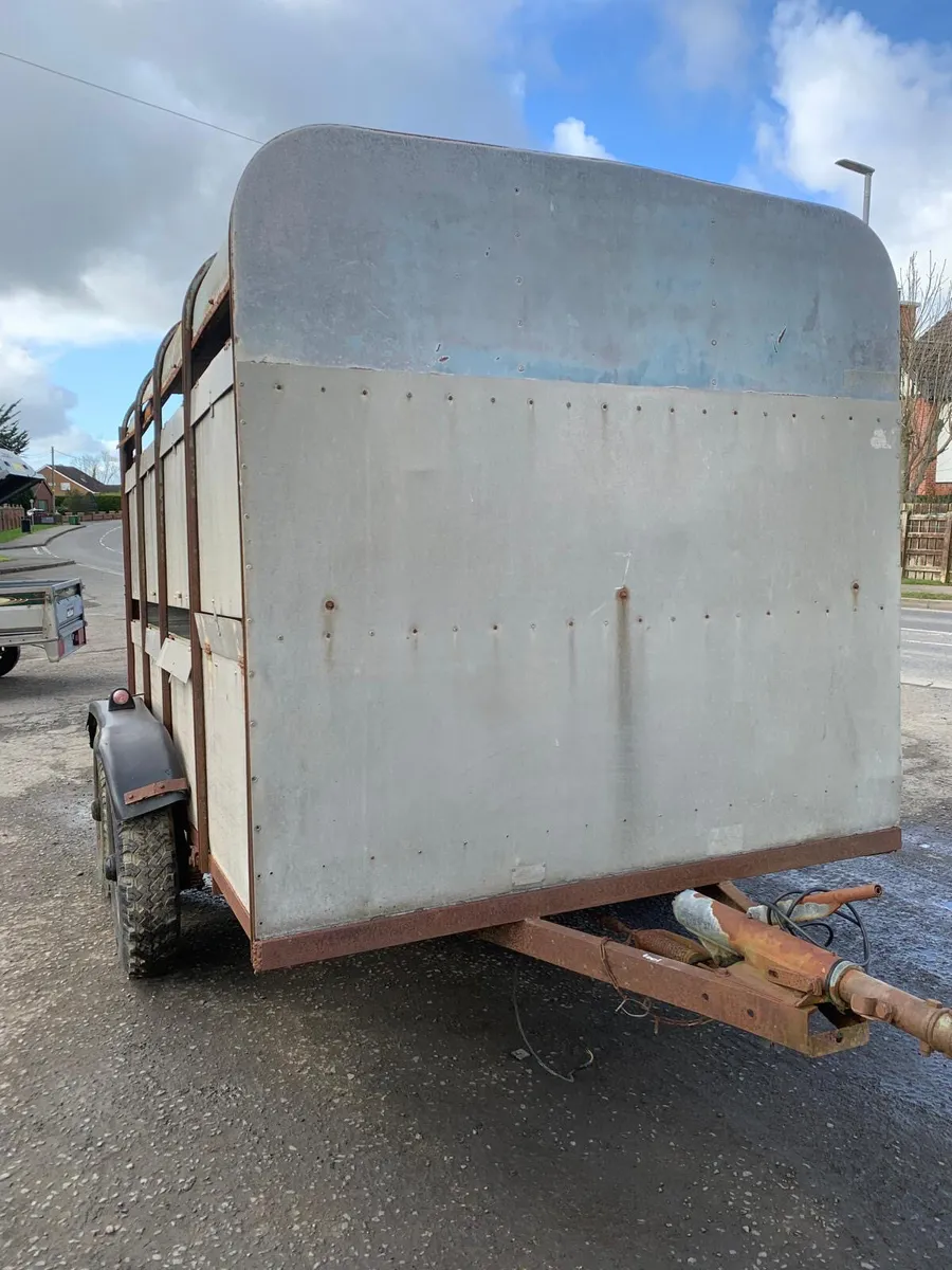 Ifor Williams 10ft cattle trailer - Image 1