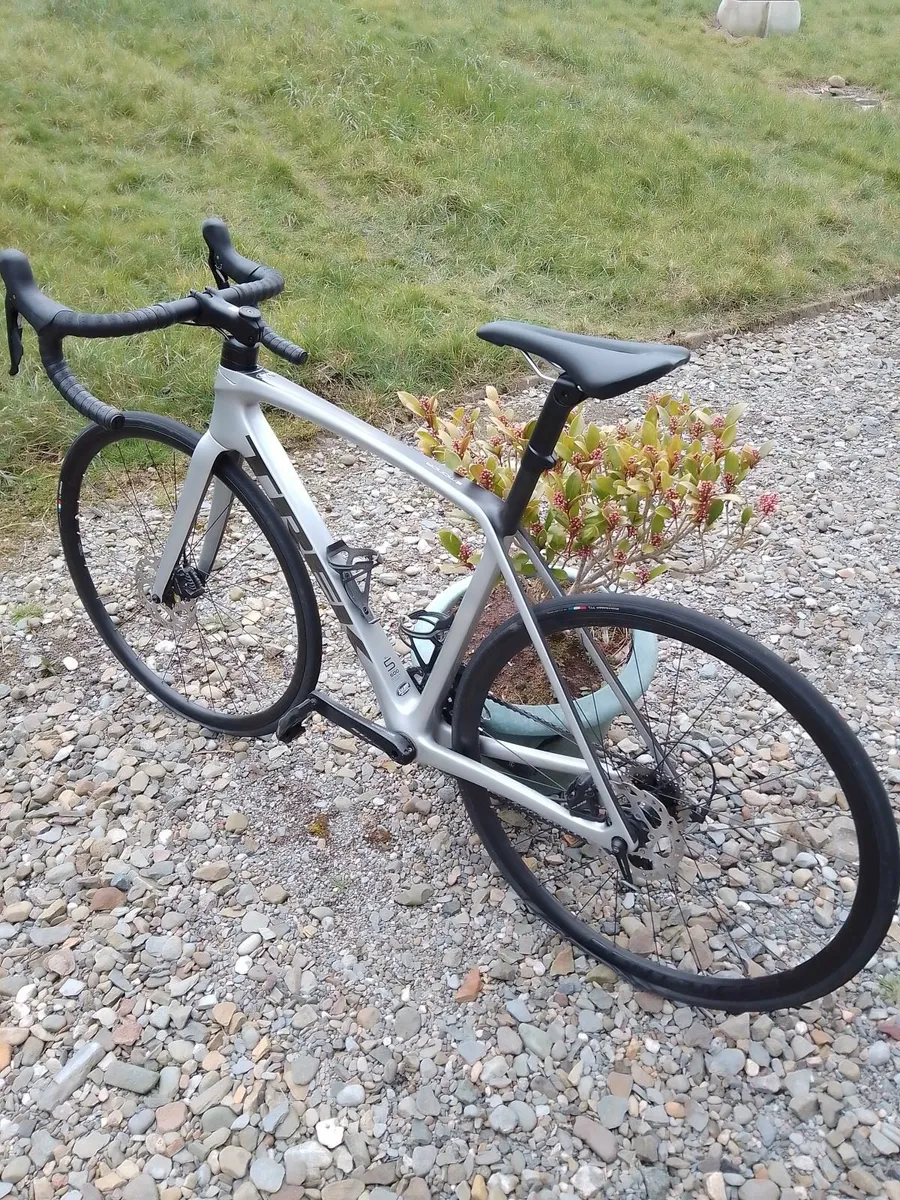 Professional  Carbon Fibre Racing Bicycle - Image 3