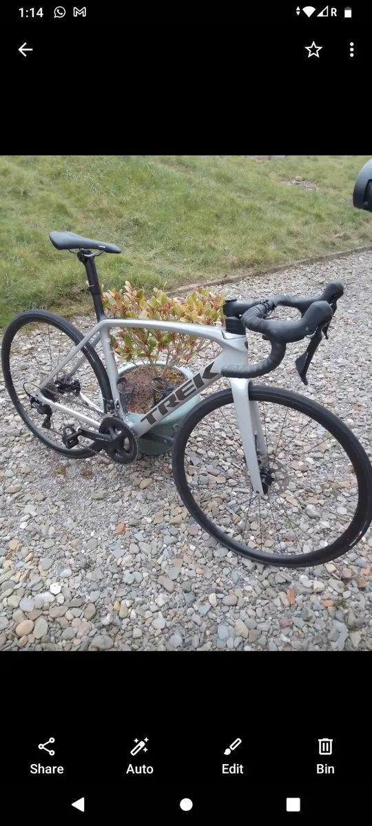 Professional  Carbon Fibre Racing Bicycle - Image 1