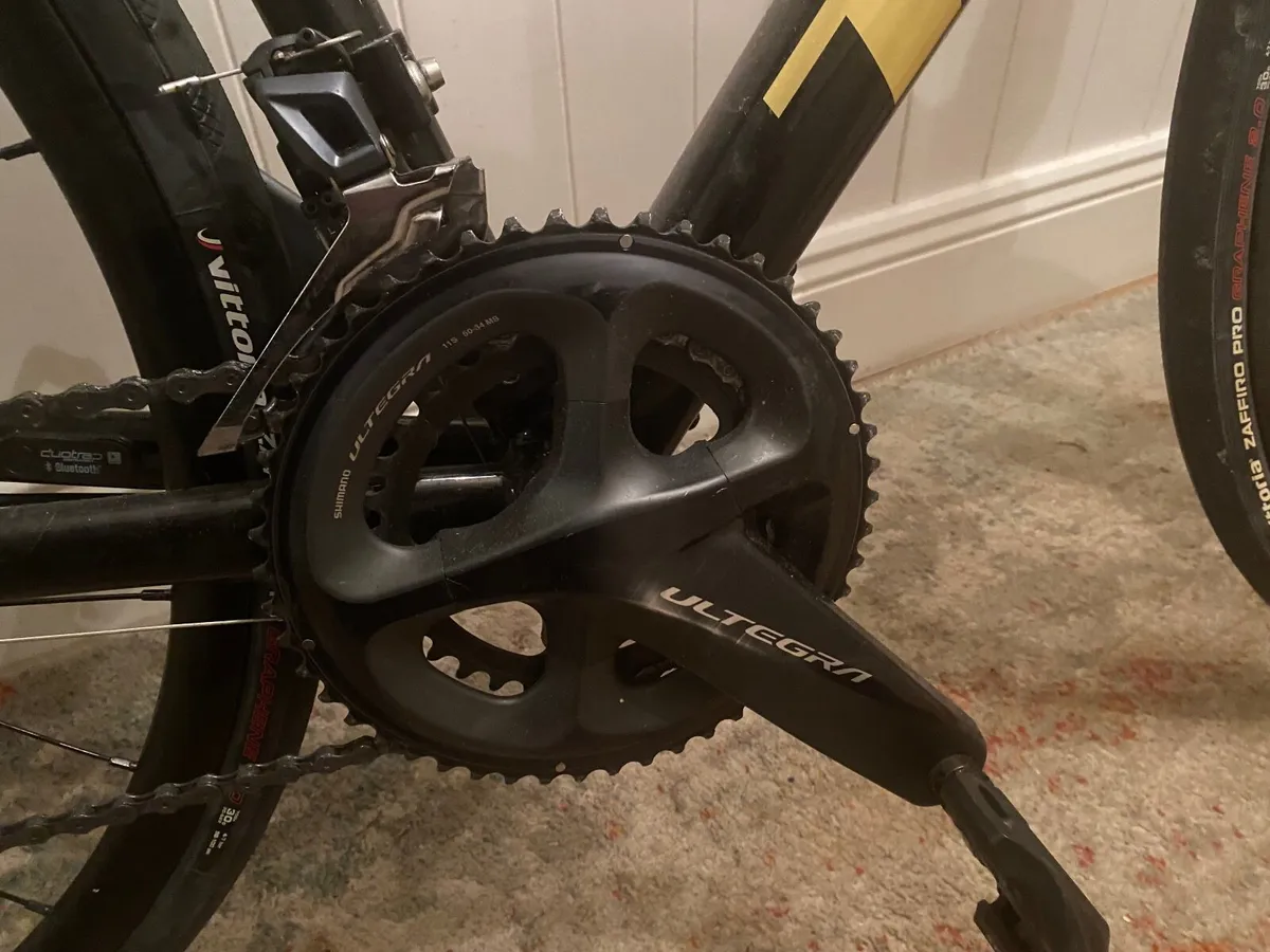 Trek Racing Bike - Image 2