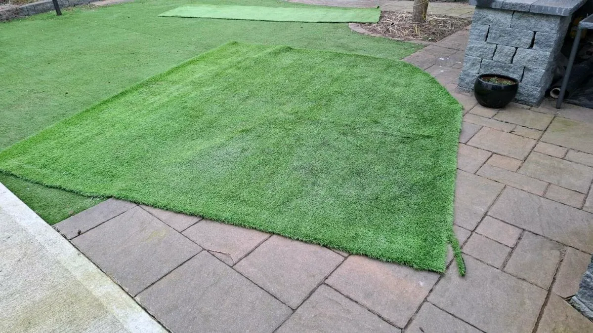 Fake grass - Image 1