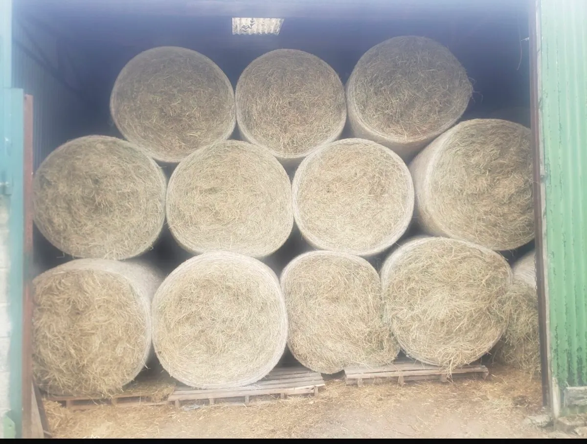 2024 Bales of hay for sale