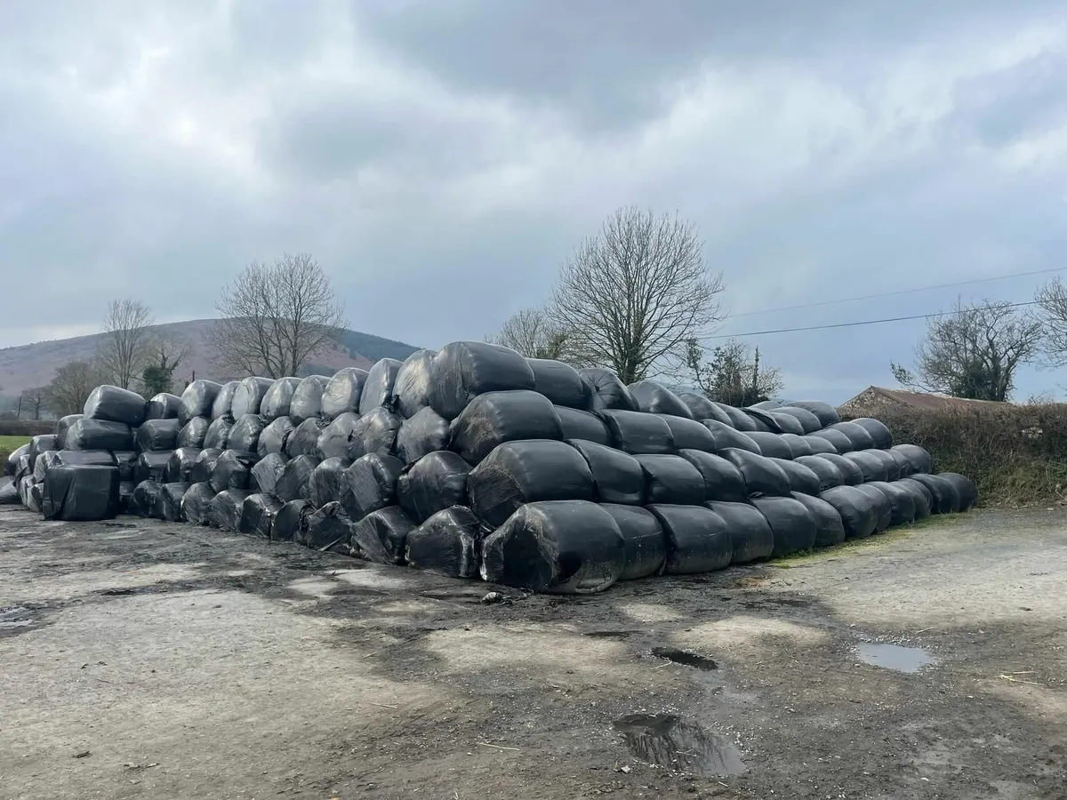 Silage - Image 2
