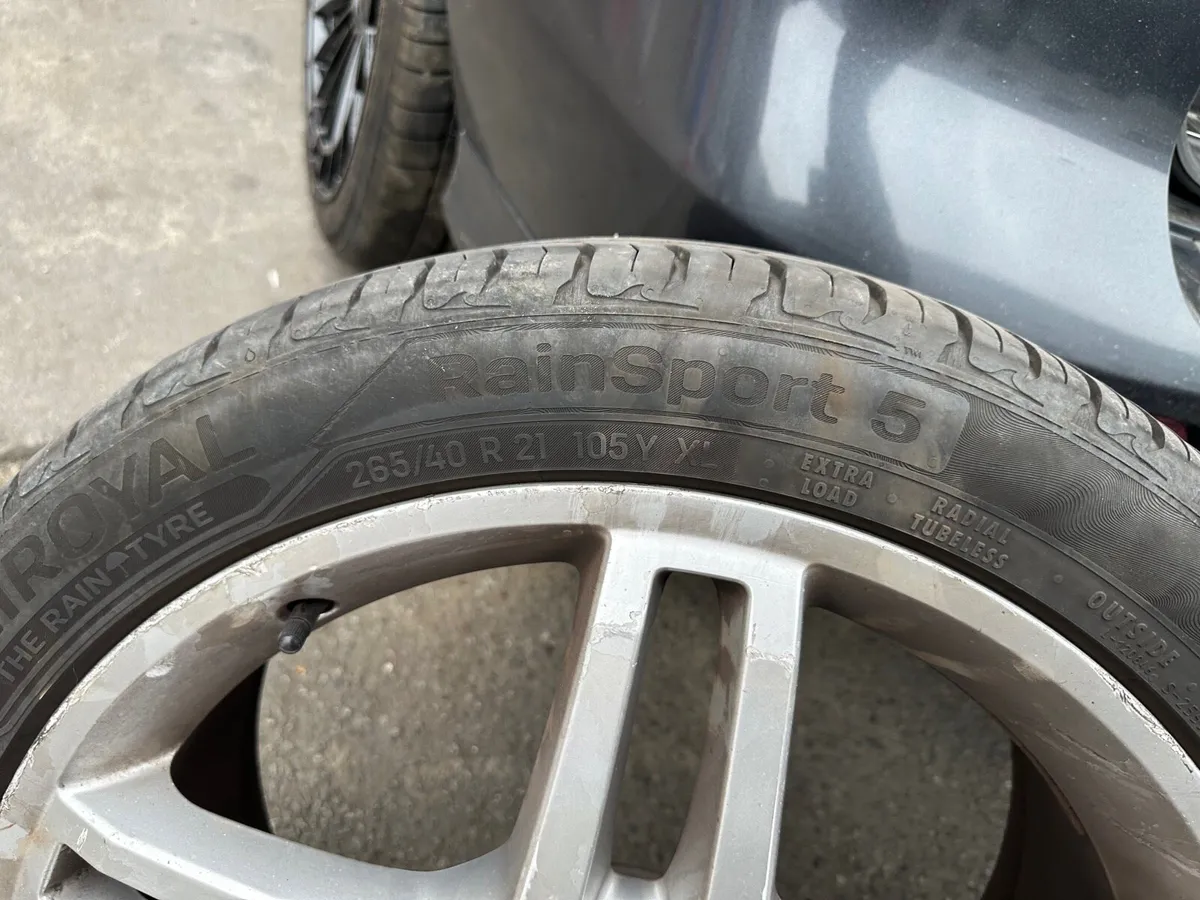 Alloys 21 - Image 2