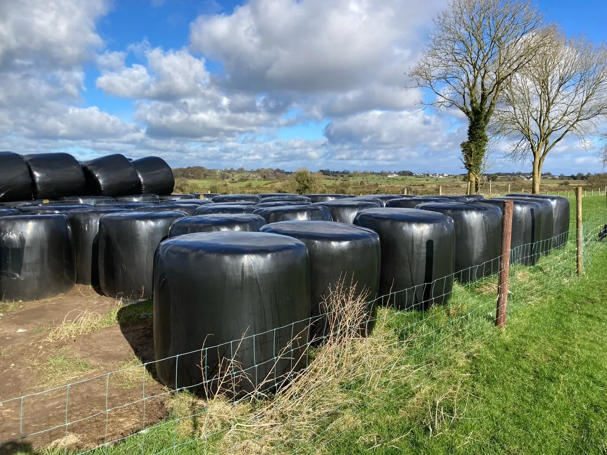 Silage
