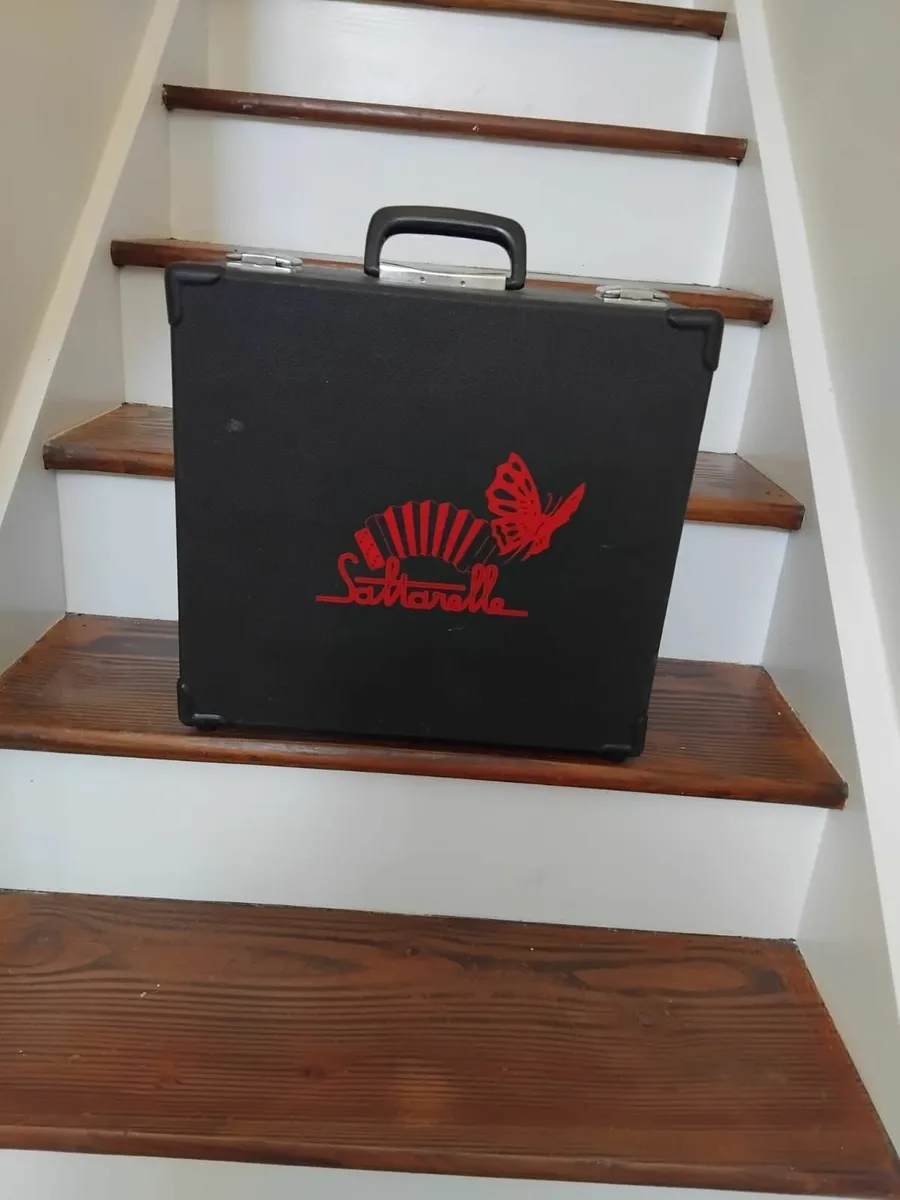 Saltarelle Accordion Case - Image 1
