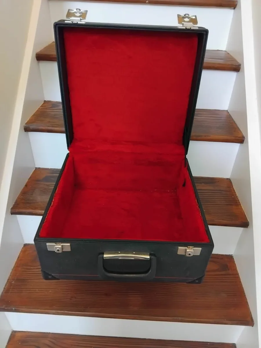 Saltarelle Accordion Case - Image 2