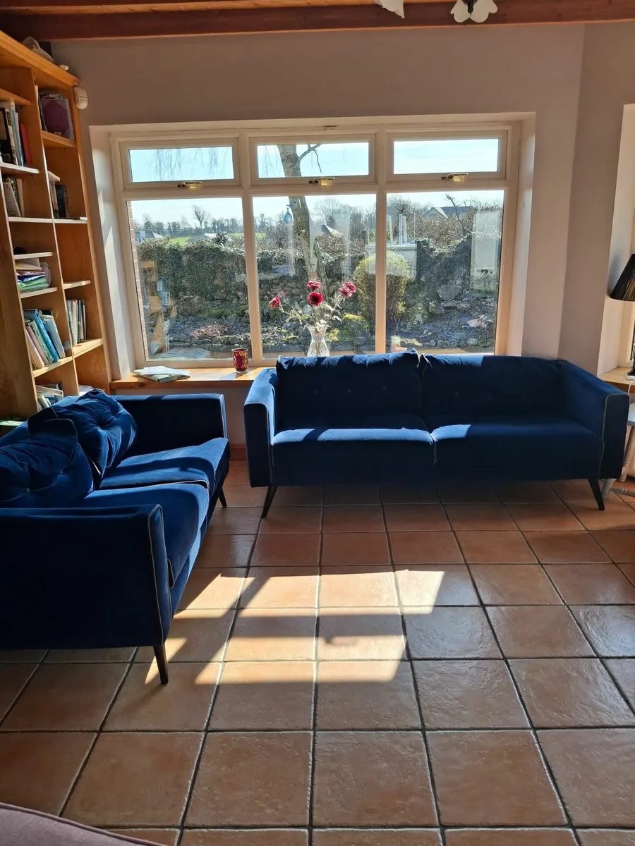 2 and 3 seater couch - Image 1