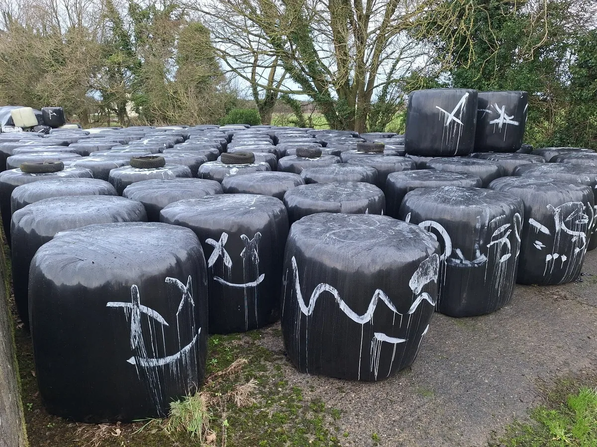 Silage bales