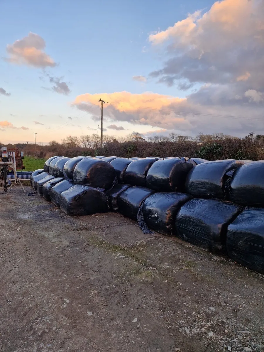 Baled silage - Image 1