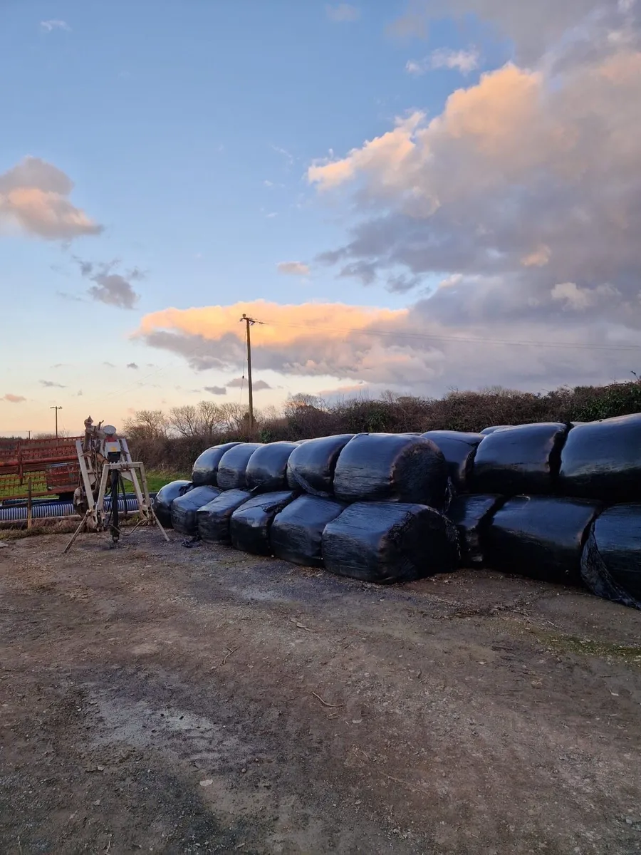Baled silage - Image 2