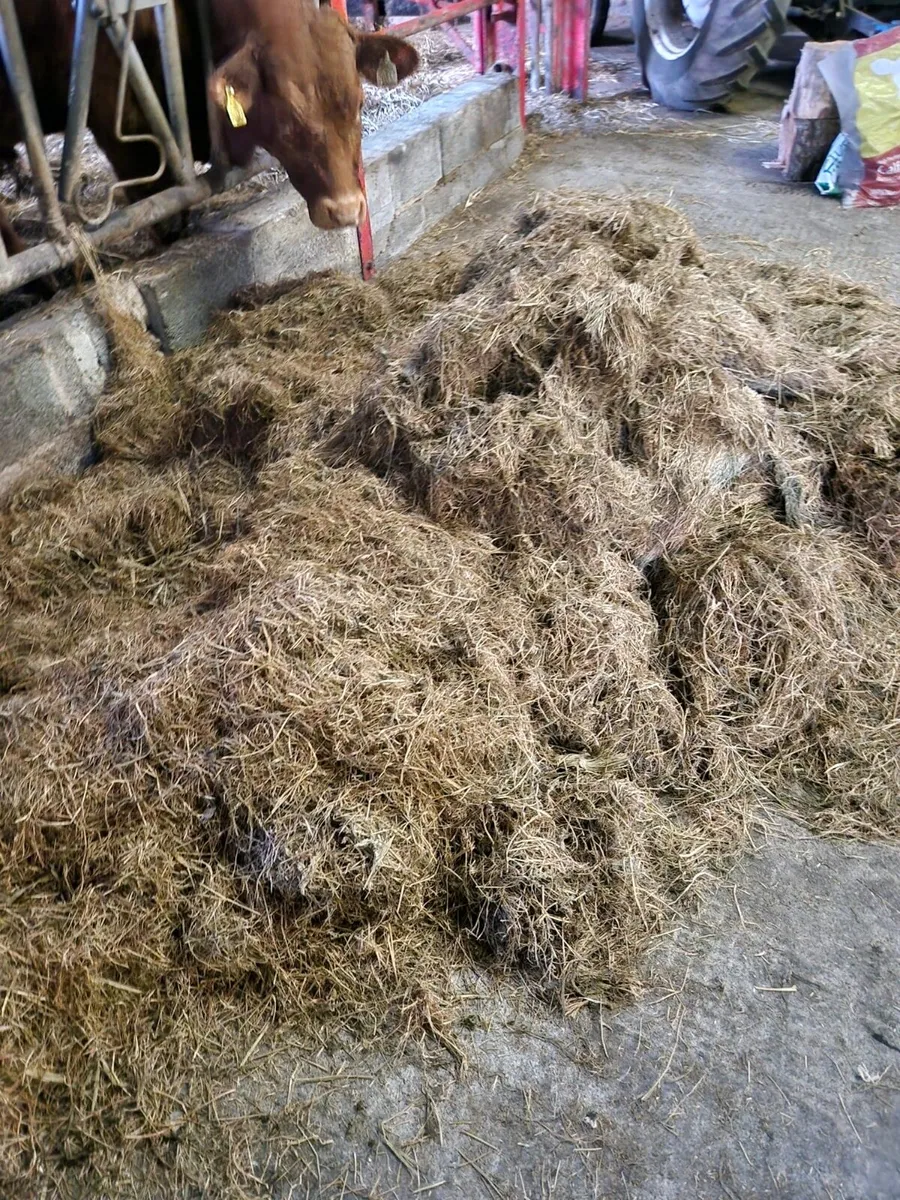 Baled silage - Image 3