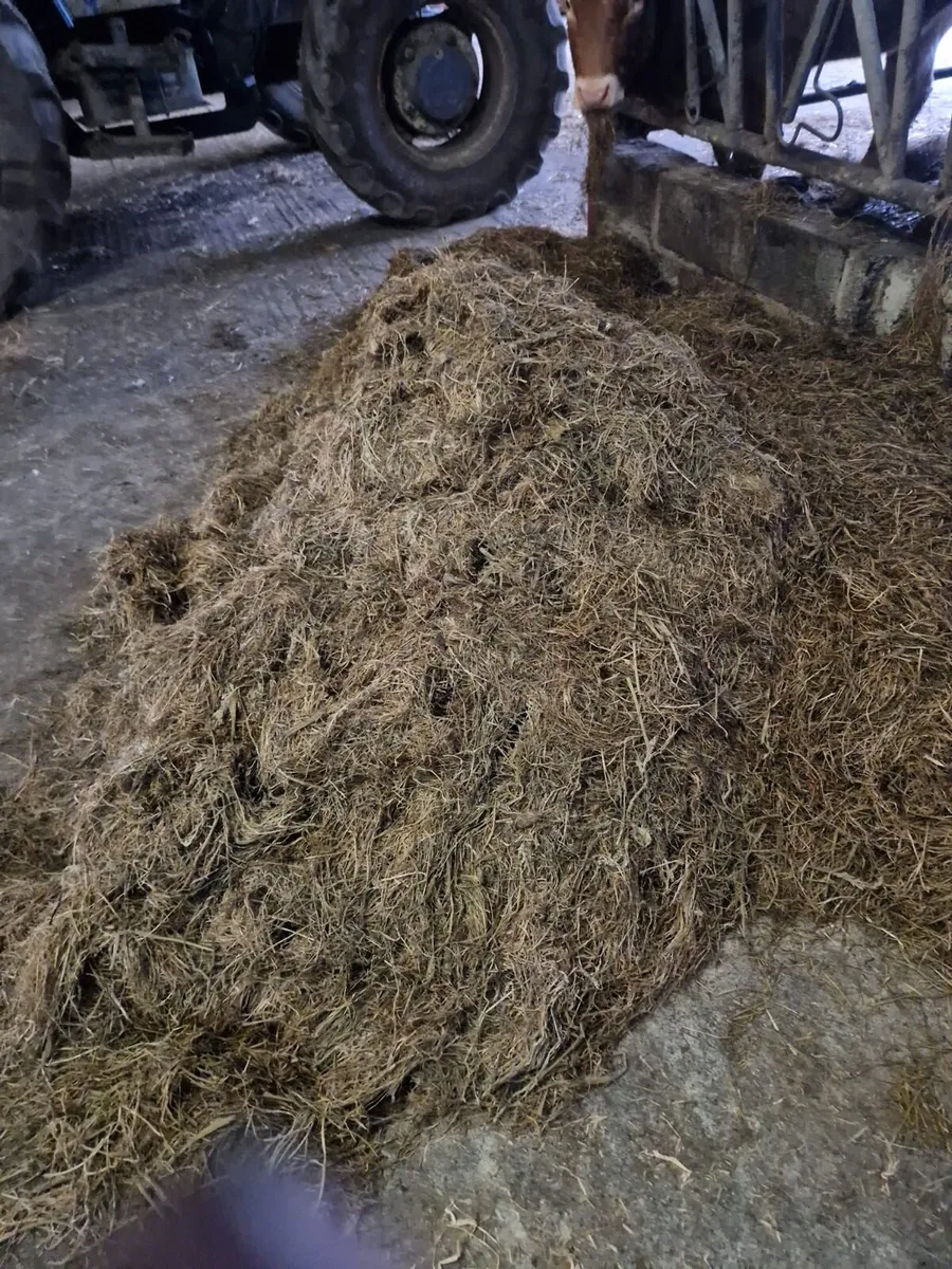 Baled silage - Image 4