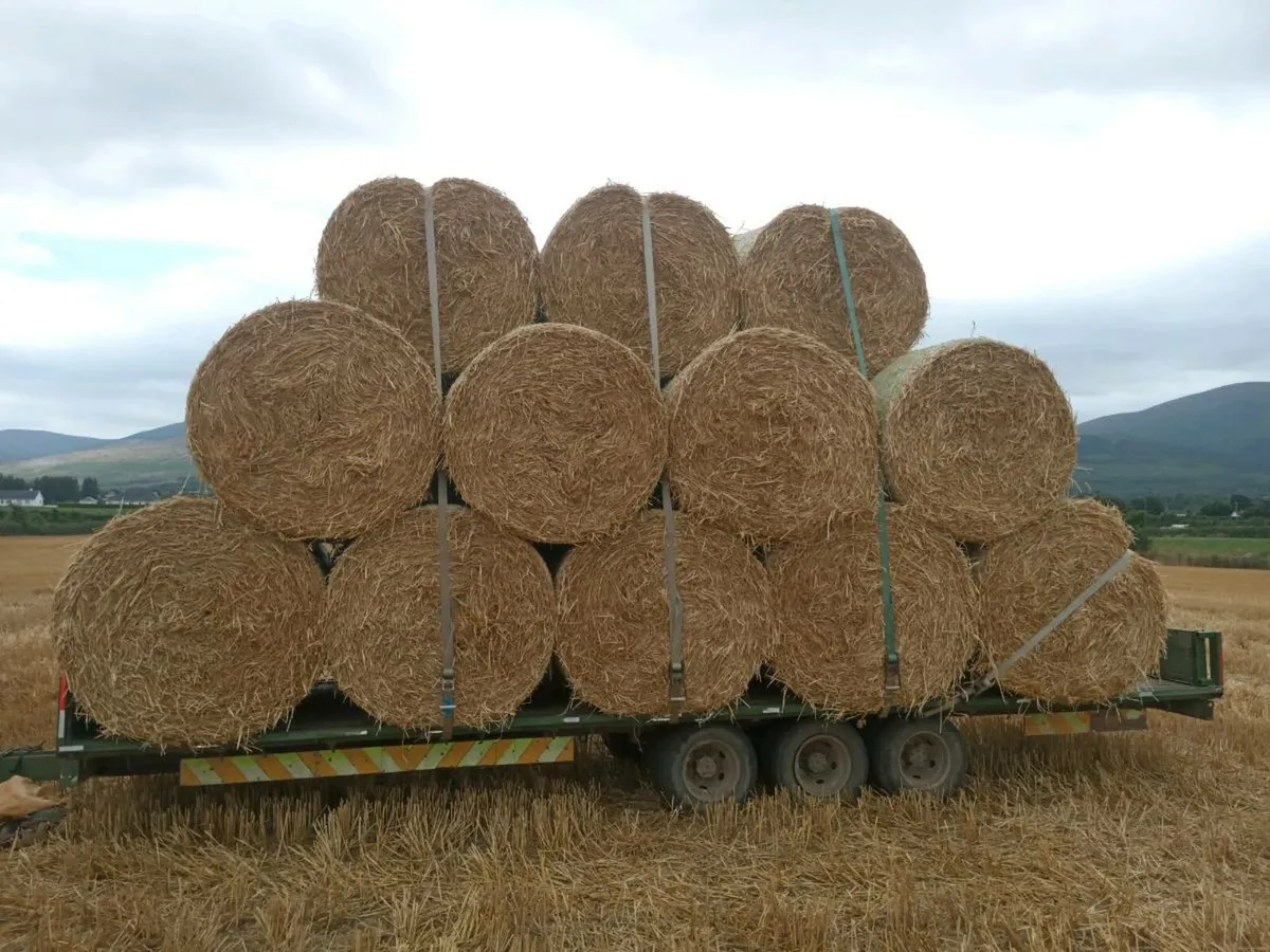 Straw for sale - Image 3