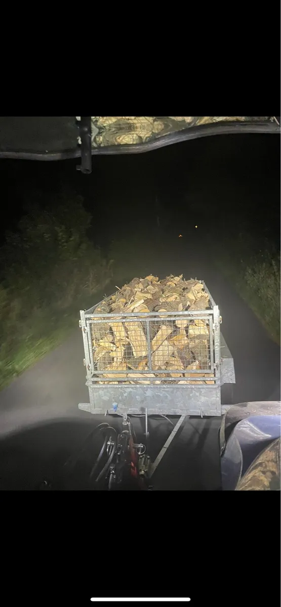 Firewood - Image 1