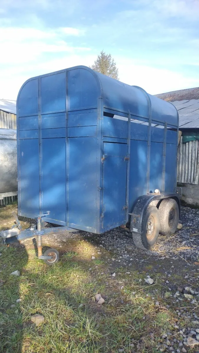 8x5 cattle trailer - Image 1