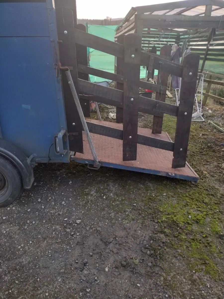 8x5 cattle trailer - Image 3