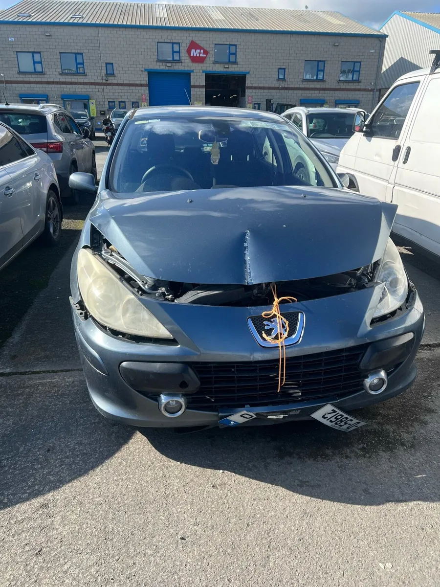 Peugeot 307 - Image 4
