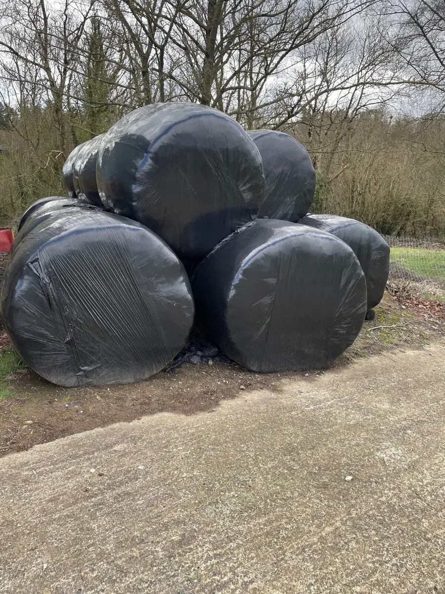 Silage bales