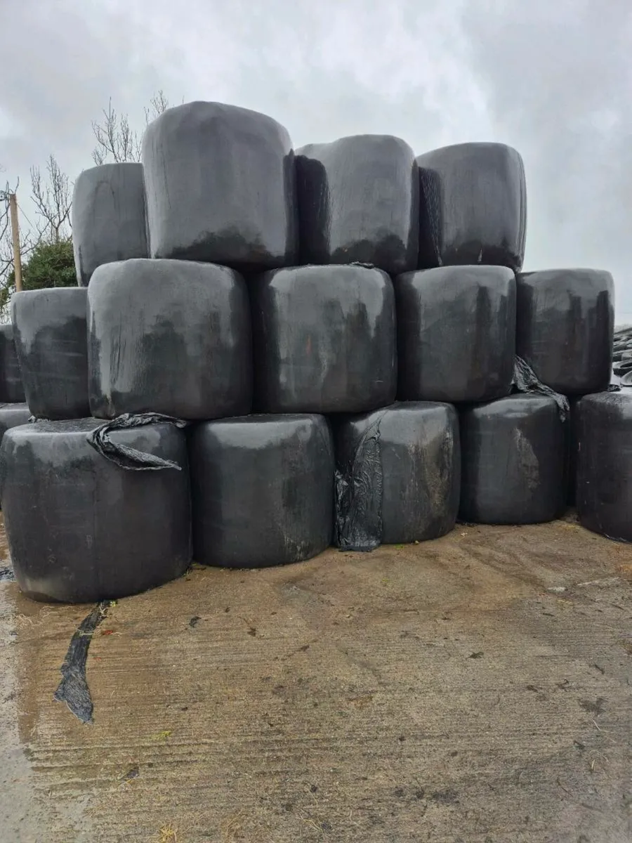 Silage/Haylage, & Hay - Image 1