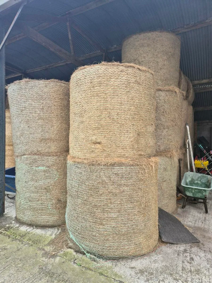 Silage/Haylage, & Hay - Image 2