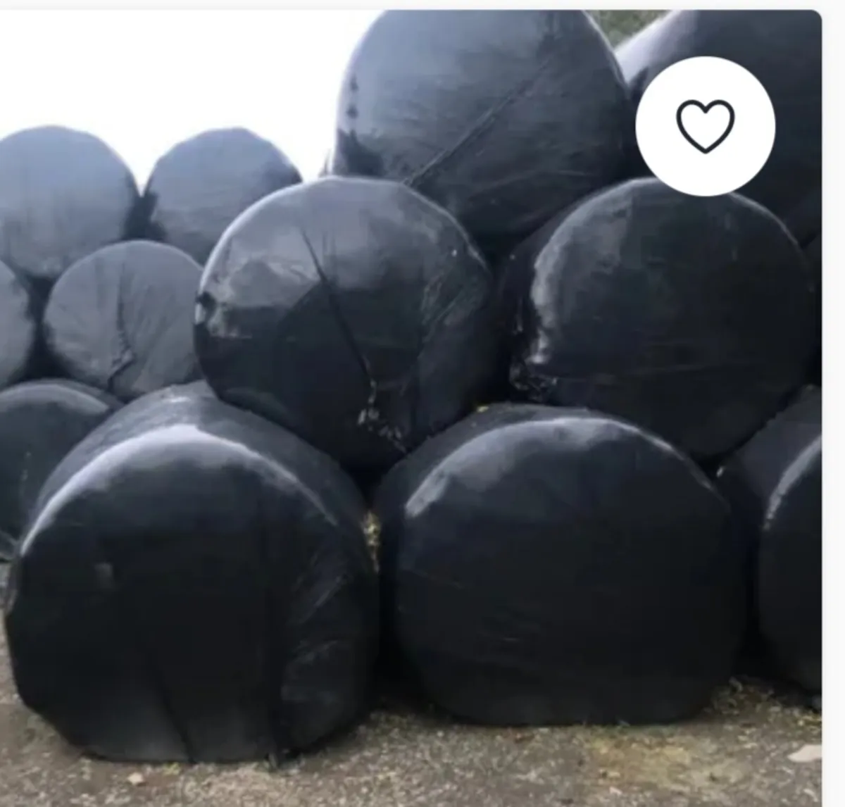 Round Bailes of 1st cut silage