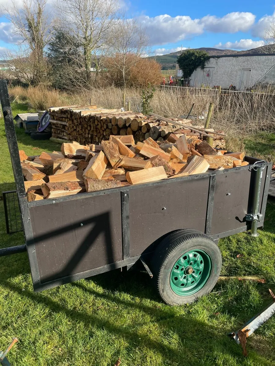 Firewood - Image 1