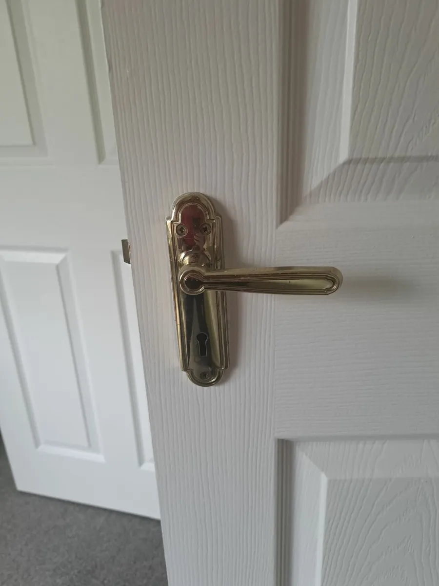 Internal Door - Image 3