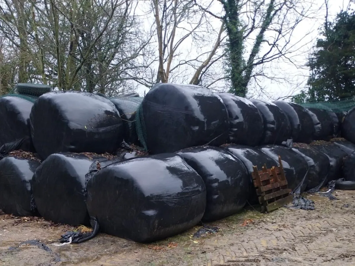 40 Silage Bales