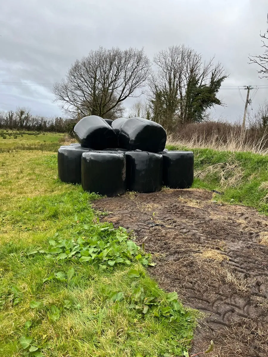 Silage - Image 1